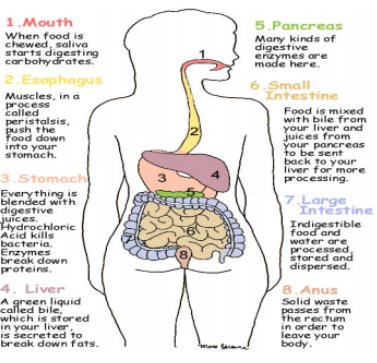 CAUSE OF CONSTIPATION DIAGNOSED?